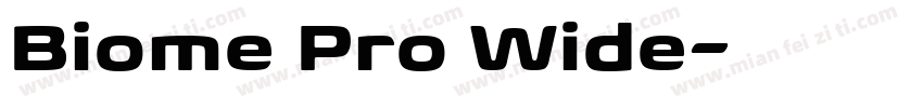 Biome Pro Wide字体转换
